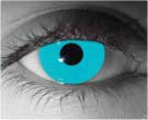 Zombie Blue