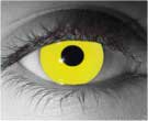 Zombie Yellow