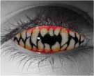 Jagged Teeth