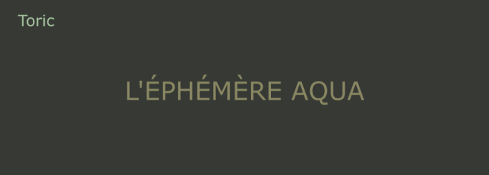 Ephémère Aqua Journalière Toric