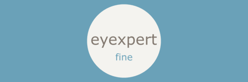 Eyexpert Fine (1 day)
