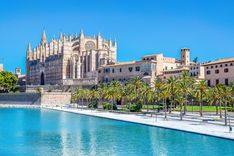 Palma