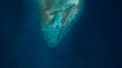 Isla Margarita