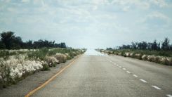 Maun