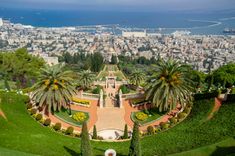 Haifa