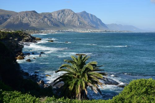 Zuid-Afrika