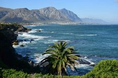 Zuid-Afrika