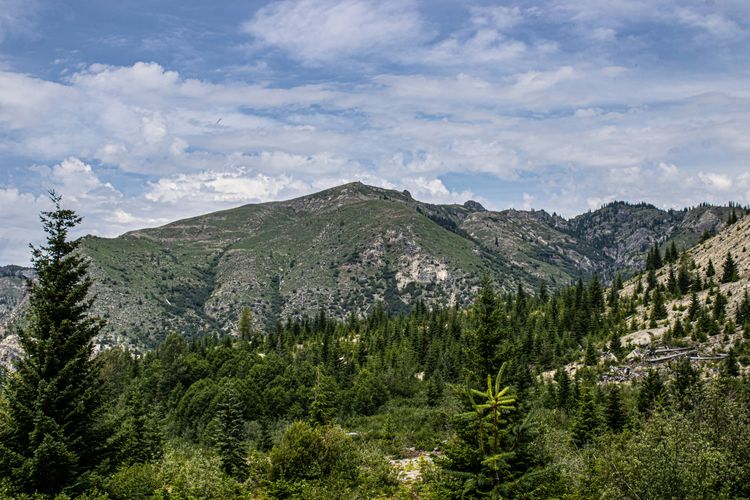 Afbeelding voor bestemming: Georgië