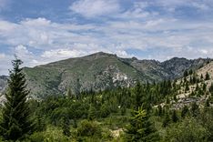Georgië