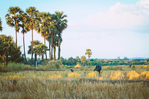 Naypyidaw
