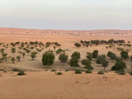 Mauritanië