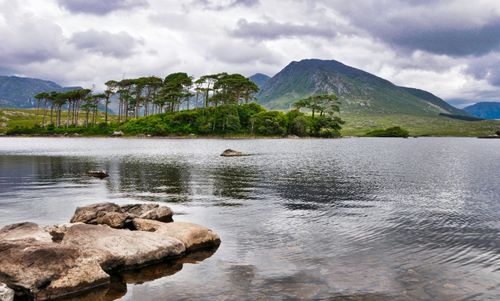Ierland