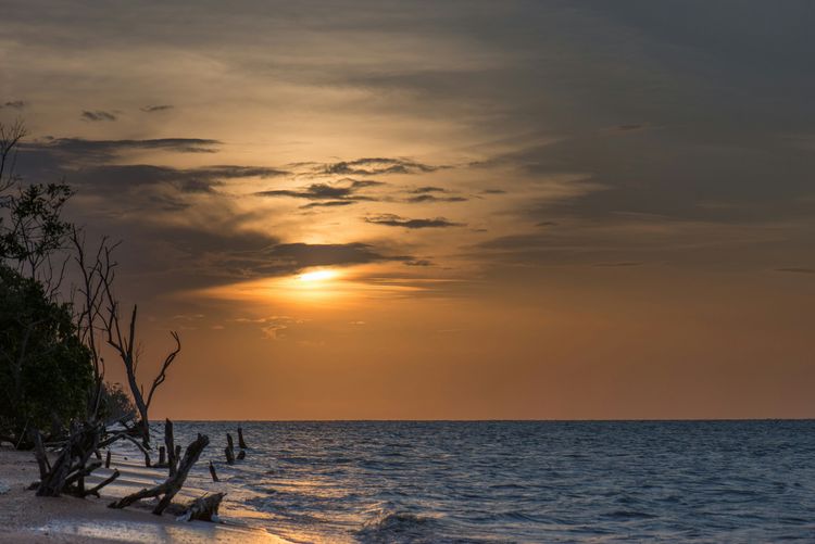 Afbeelding voor bestemming: Suriname