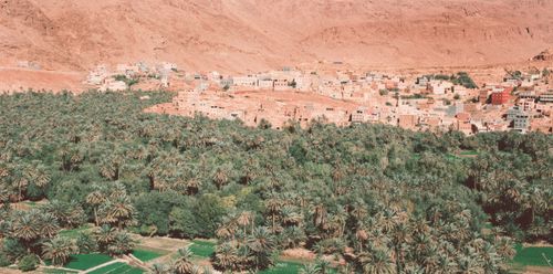 Jordanië