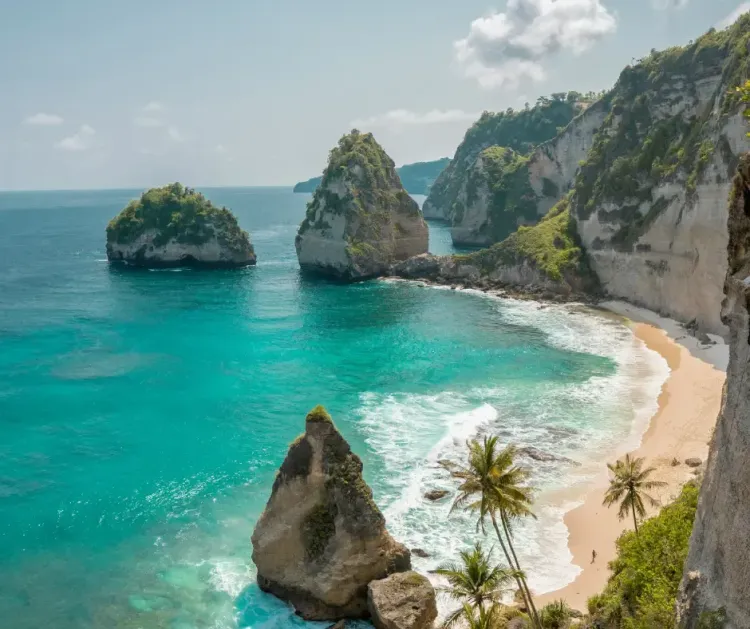 Afbeelding voor artikel: Amsterdam Bali