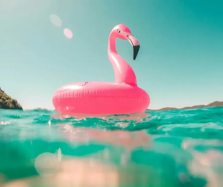 Afbeelding voor artikel: Zomervakantie 2026