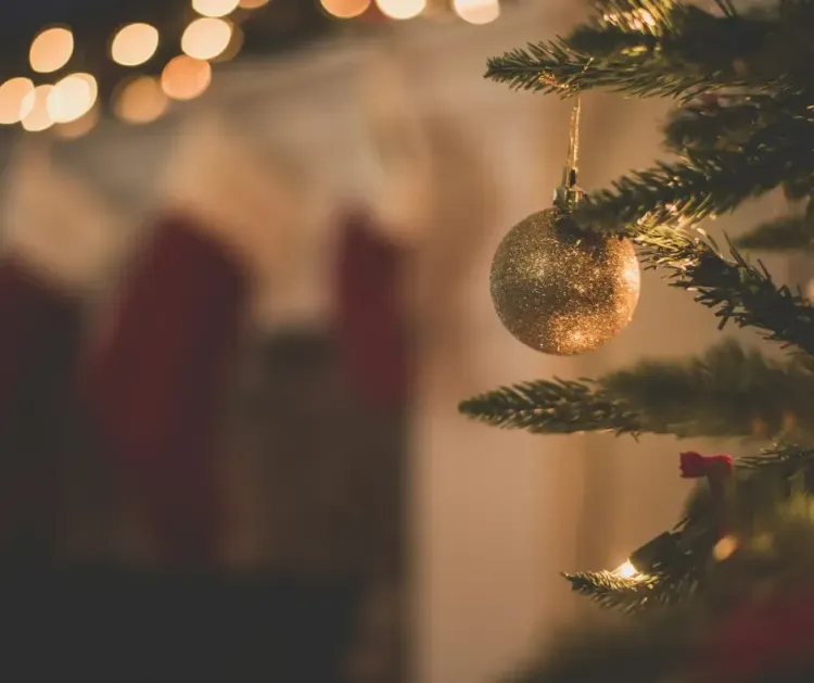 Afbeelding voor artikel: Kerstvakantie 2026