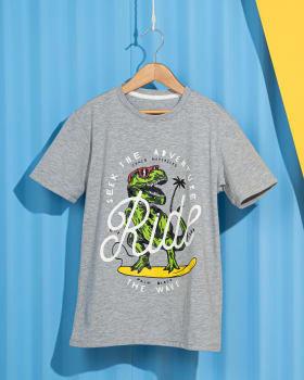 camiseta basica para ninos con estampado de dinosaurio-711- Gray-MainImage