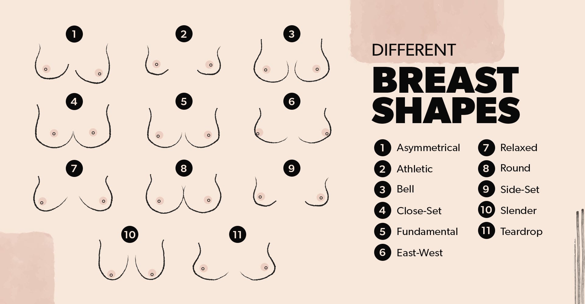 Understanding the Different Breast