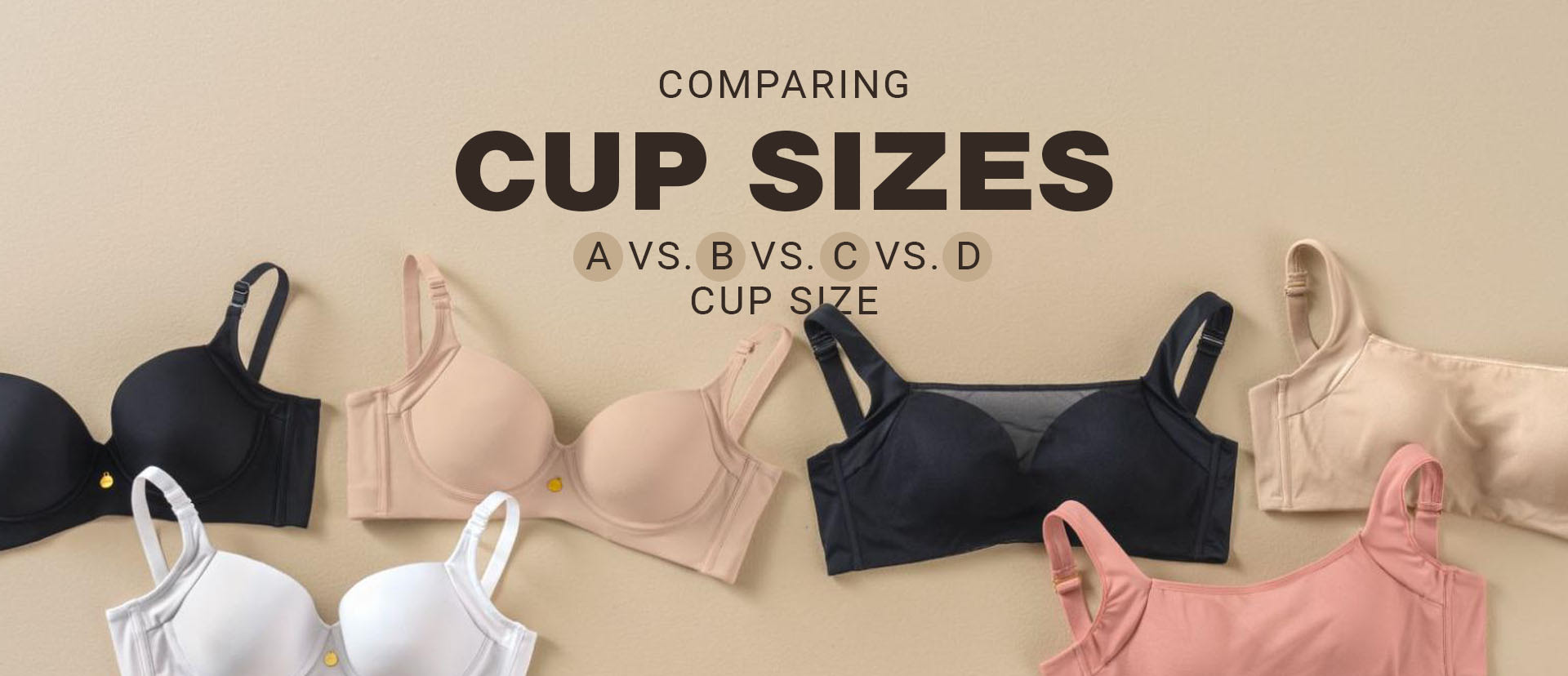 Comparing Cup Sizes A Vs B Vs C Vs D Cup Size Leonisa 