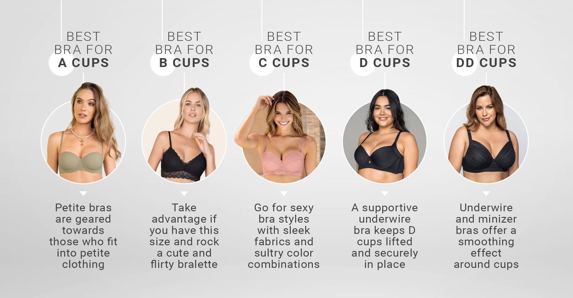 Comparing Cup Sizes A Vs B Vs C Vs D Cup Size Leonisa 