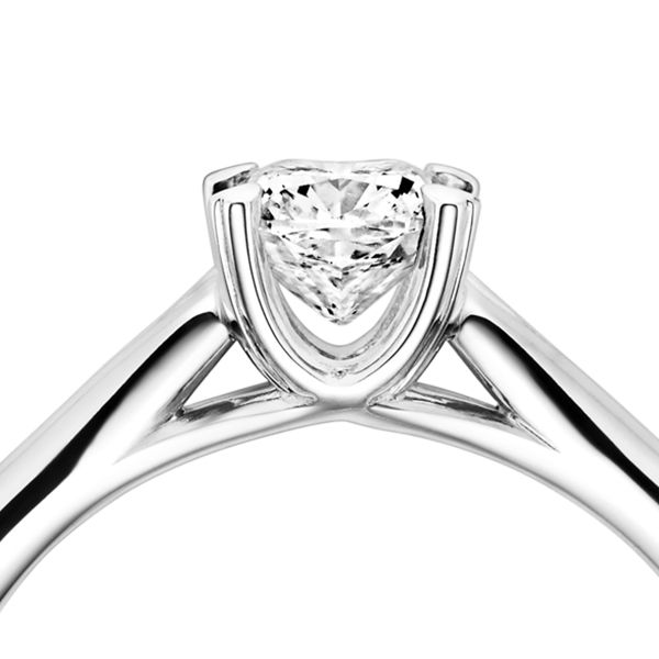DDC Ring of the Year - La Fleur - Leo Wittwer