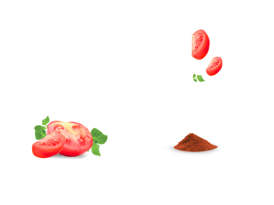 ingredients_tomate_paprika