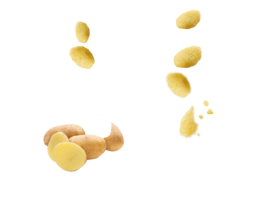 petales_pomme_de_terre