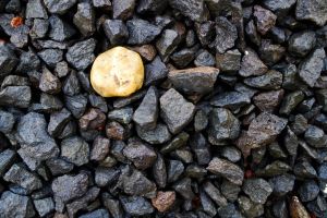 White Rock Surrounded by Blacks