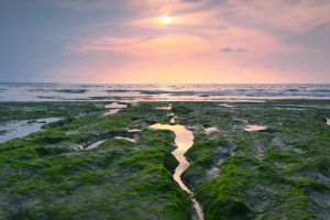 Sunset on Low Tides in Libreville