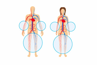 Photo d'illustation pour Lymphoedème 