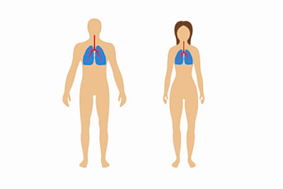 Photo d'illustation pour Trachéobronchites chroniques