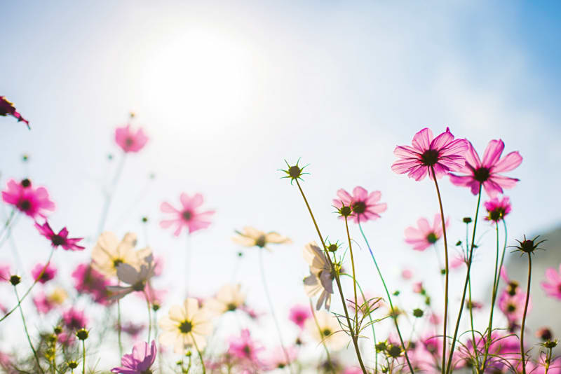 Une cure thermale, un séjour pour réduire les allergies