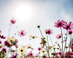 Une cure thermale pour rÃ©duire les allergies