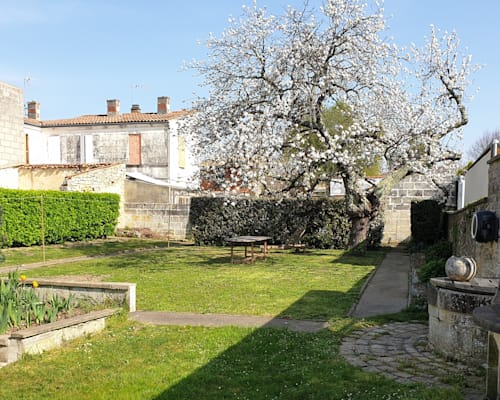 Photo 5