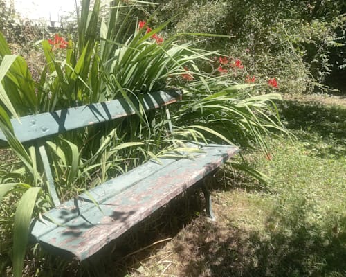 Photo 17