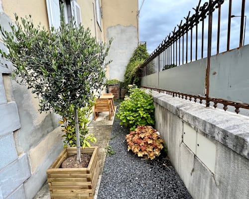 Photo 9