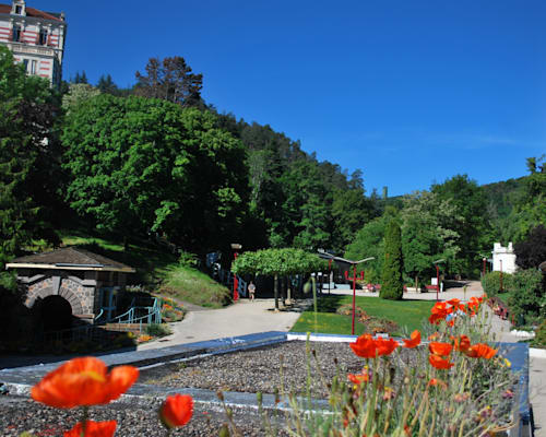 Photo 10