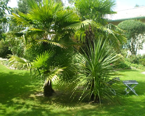 Photo 5