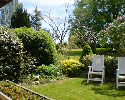 Photo 7