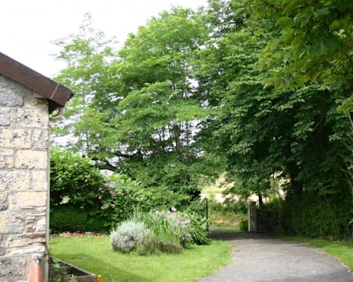 Photo 11