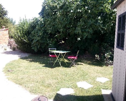 Photo 11