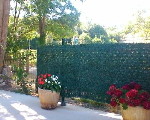 Photo 7