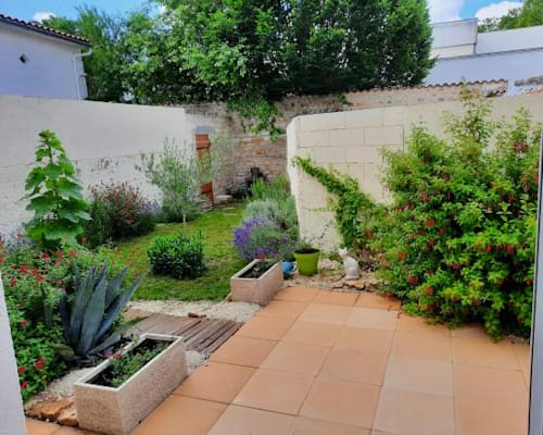 Photo 4
