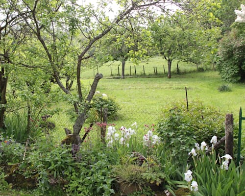Photo 7