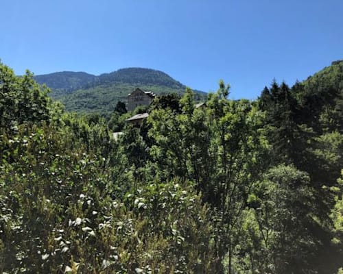Photo 41
