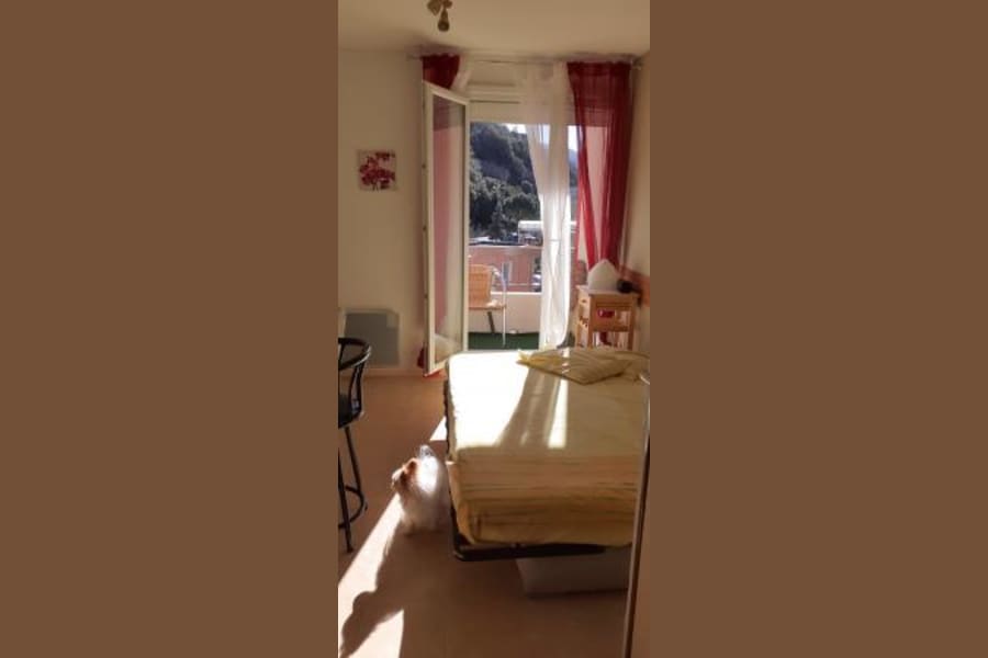 Photo 11