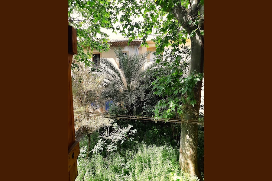 Photo 6