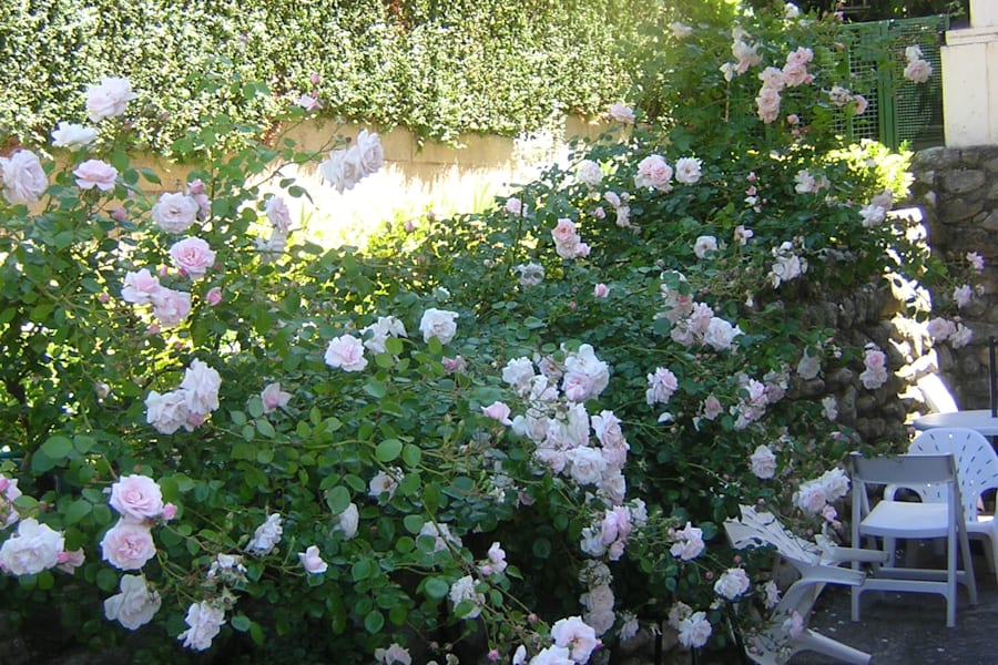 Photo 4