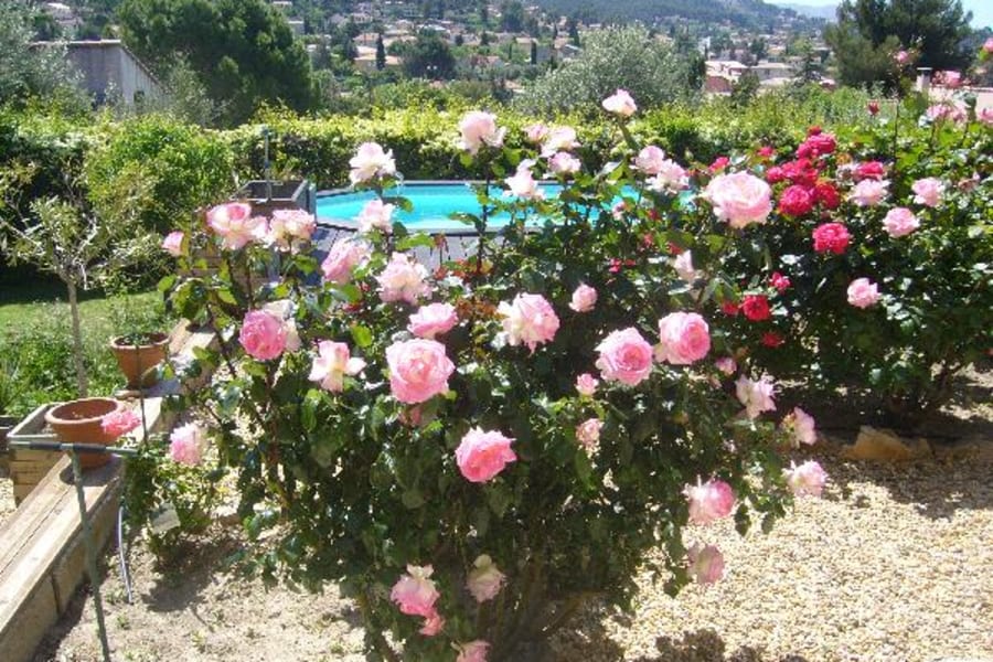 Photo 5